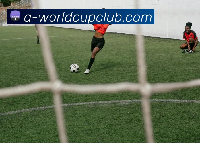 世界杯规则平台生态图